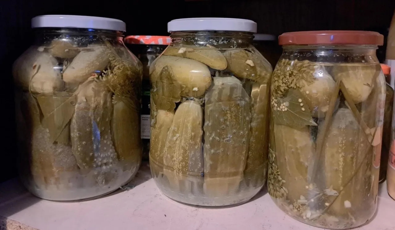 Gdzie wyrzucić ogórki kiszone, aby chronić środowisko i uniknąć błędów