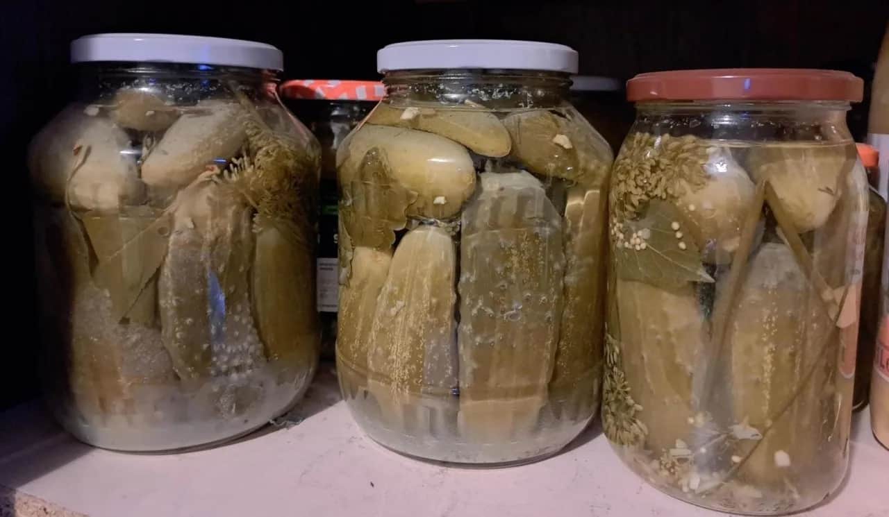 Gdzie wyrzucić ogórki kiszone, aby chronić środowisko i uniknąć błędów