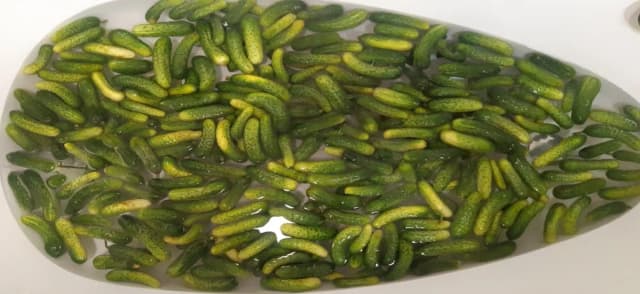 Jak kisi się ogórki: Prosty przepis na idealne kiszone ogórki